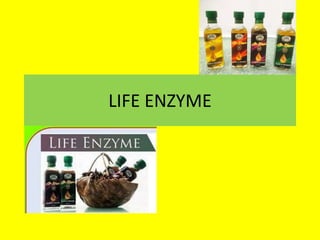 LIFE ENZYME
 