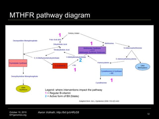 MTHFR pathway diagram October 10, 2010 DIYgenomics.org Aaron Vollrath; http://bit.ly/cHRzS8 Legend: where interventions im...