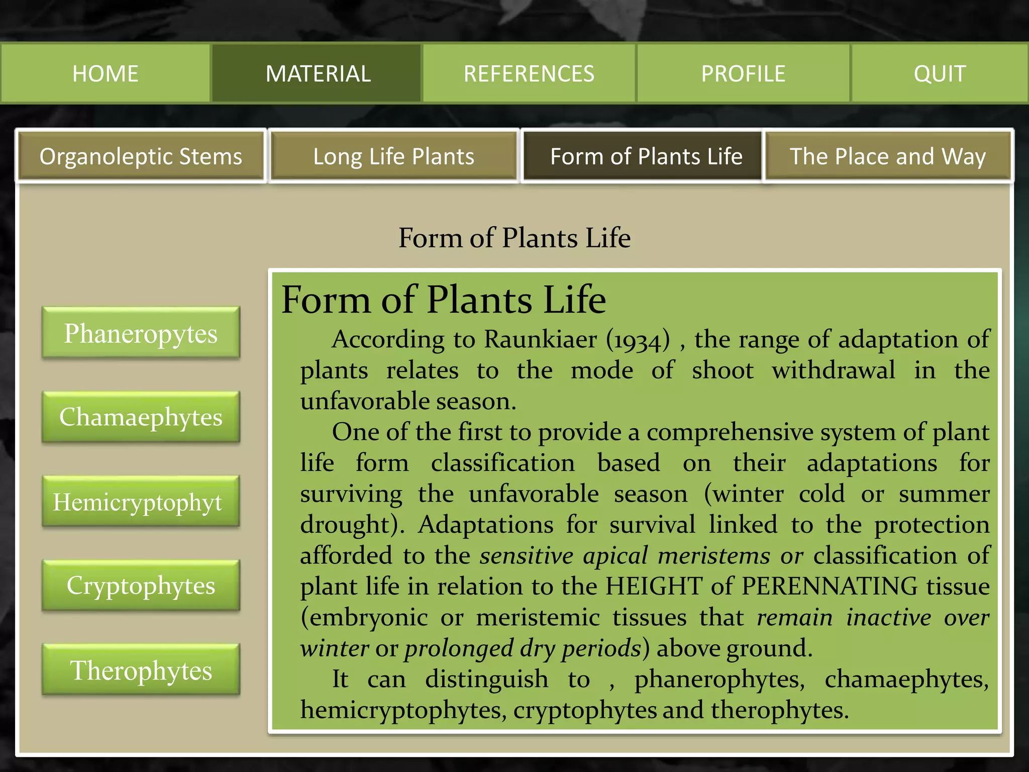 HOME MATERIAL
Form of Plants Life
Long Life PlantsOrganoleptic Stems Form of Plants Life The Place and Way
REFERENCES PROFILE QUIT
Phaneropytes
Chamaephytes
Hemicryptophyt
Cryptophytes
Therophytes
Form of Plants Life
According to Raunkiaer (1934) , the range of adaptation of
plants relates to the mode of shoot withdrawal in the
unfavorable season.
One of the first to provide a comprehensive system of plant
life form classification based on their adaptations for
surviving the unfavorable season (winter cold or summer
drought). Adaptations for survival linked to the protection
afforded to the sensitive apical meristems or classification of
plant life in relation to the HEIGHT of PERENNATING tissue
(embryonic or meristemic tissues that remain inactive over
winter or prolonged dry periods) above ground.
It can distinguish to , phanerophytes, chamaephytes,
hemicryptophytes, cryptophytes and therophytes.
 