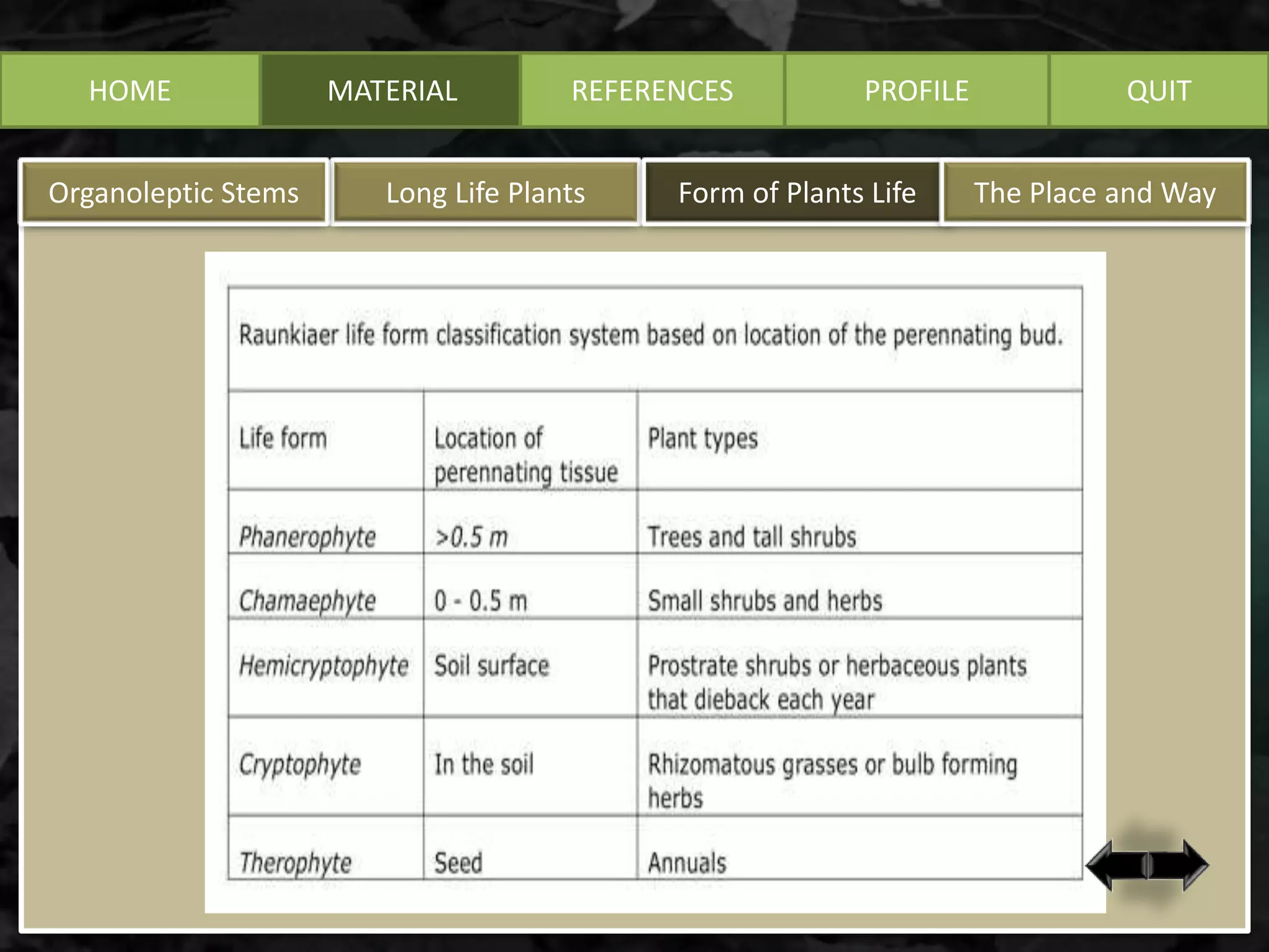HOME MATERIAL REFERENCES PROFILE QUIT
Long Life PlantsOrganoleptic Stems Form of Plants Life The Place and Way
 