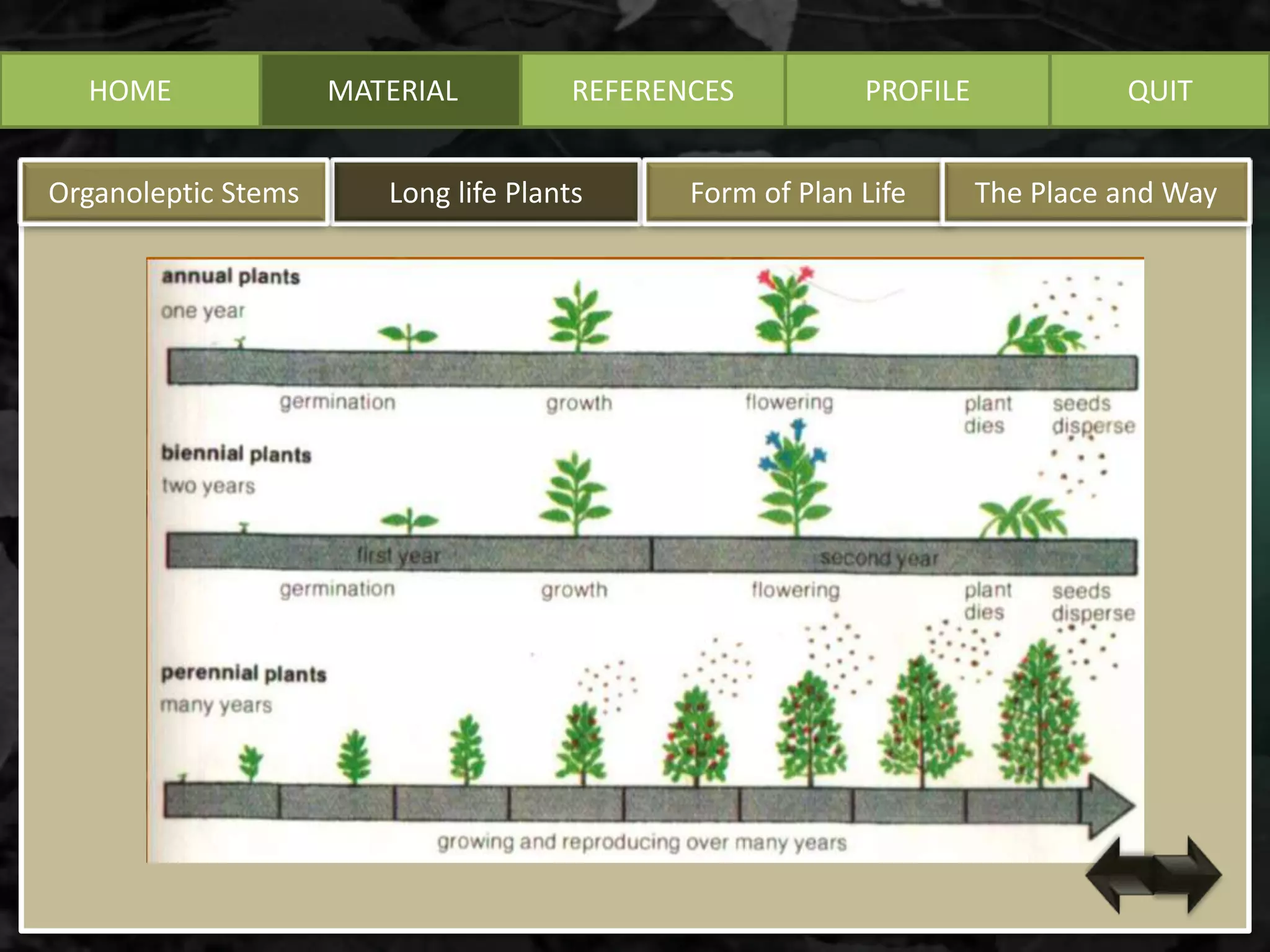 HOME MATERIAL
Long life PlantsOrganoleptic Stems Form of Plan Life The Place and Way
REFERENCES PROFILE QUIT
 