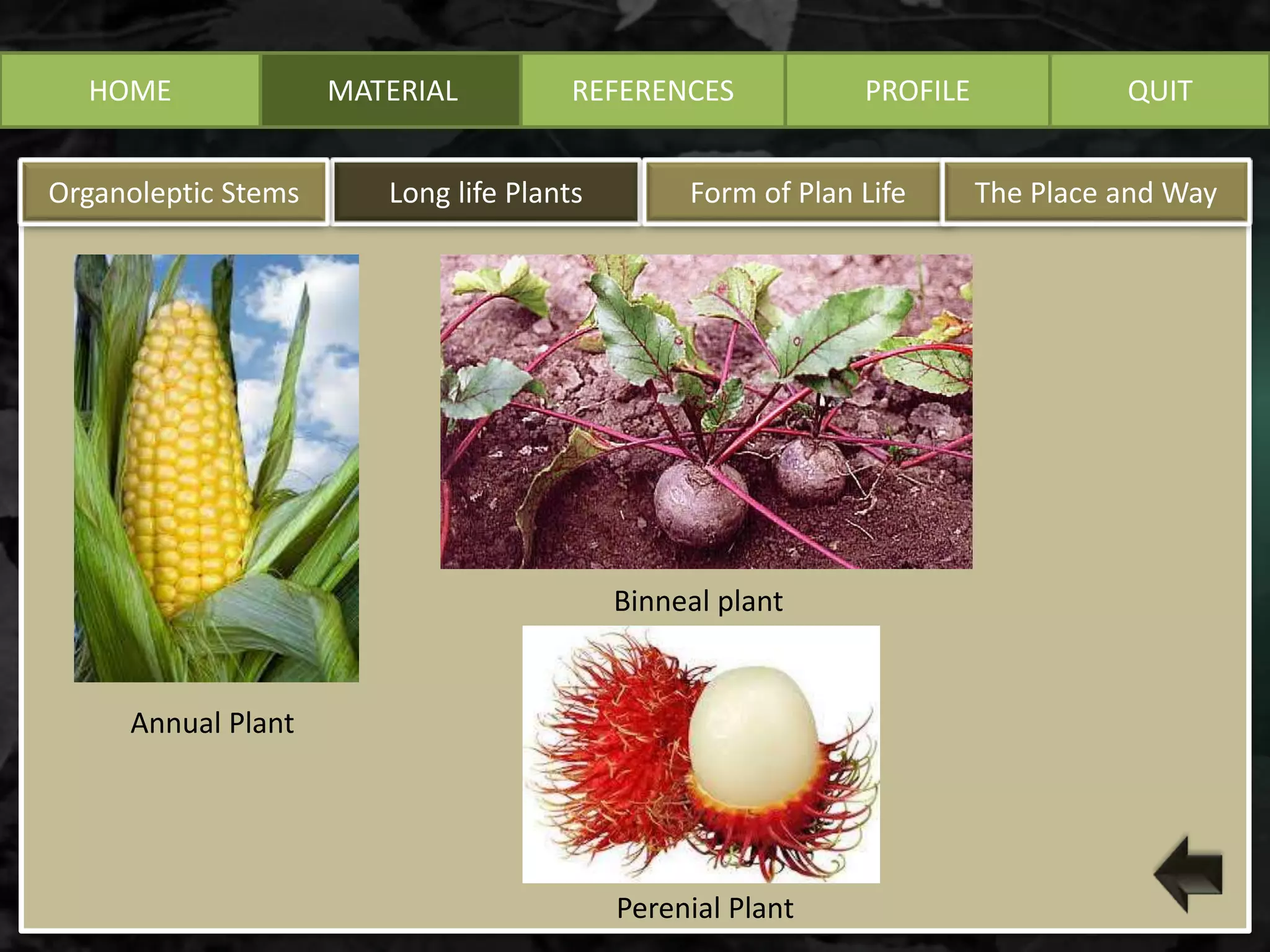 HOME MATERIAL
Long life PlantsOrganoleptic Stems Form of Plan Life The Place and Way
REFERENCES PROFILE QUIT
Annual Plant
Binneal plant
Perenial Plant
 