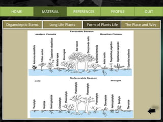 Life Form Types Life form of plants | PPTX