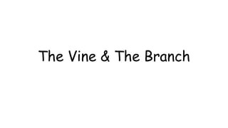 The Vine & The Branch
 