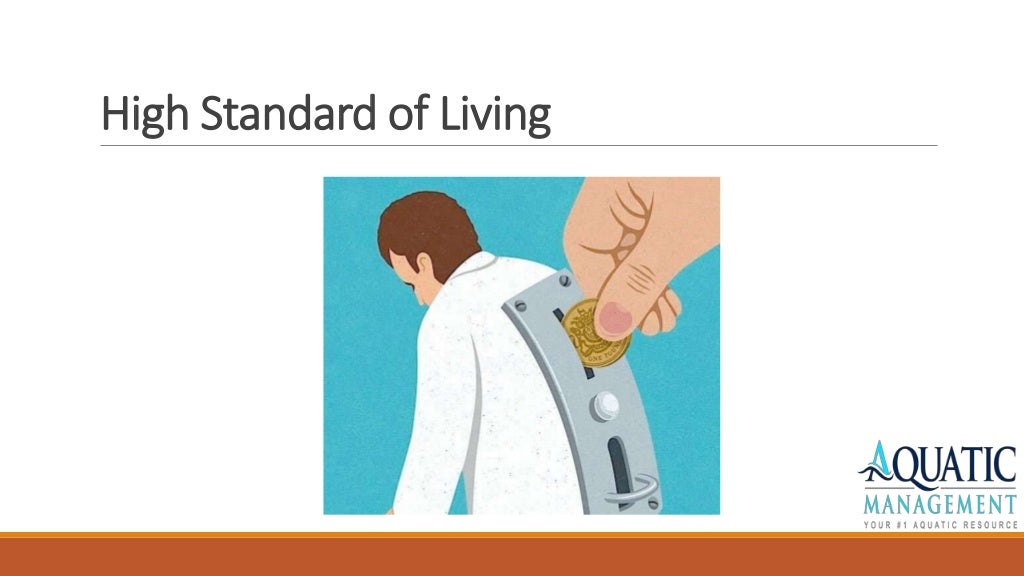 Lifeguard employment at aquatic management.