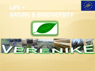LIFE +
NATURE & BIODIVERSITY
 