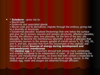 *  Ectoderm  - gives rise to:  • Neural tube  • Epidermis and associated glands  • Neural crest and its derivatives: migrate through the embryo, giving rise to a diversity of structures  • Ectodermal placodes: localized thickenings that sink below the surface and give rise to sensory neurons and sensory structures: olfactory placodes, forming the olfactory sacs; lens placodes, for the lens of the eye; otic placodes, to become the membranous labyrinth; a group of placodes that contributes neurons to the sensory ganglia of cranial nerves V, VII, VIII, IX, and X; and last, placodes that form the neuromasts of the cephalic and lateral line canals  Sources of energy during development and extraembryonic membranes   The  cleidoic egg  is an important derived trait among many vertebrates and enabled tetrapods to be independent of water. In just considering the macro- and mesolecithal species, we know that both contain a moderate to large amount of yolk for the embryo to use as an energy source. In the cleidoic egg, water and oxygen are obtained through diffusion.  