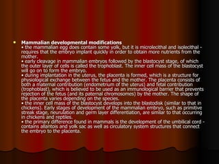 Mammalian developmental modifications   • the mammalian egg does contain some yolk, but it is microlecithal and isolecithal - requires that the embryo implant quickly in order to obtain more nutrients from the mother.  • early cleavage in mammalian embryos followed by the blastocyst stage, of which the outer layer of cells is called the trophoblast. The inner cell mass of the blastocyst will go on to form the embryo.  • during implantation in the uterus, the placenta is formed, which is a structure for physiological exchange between the fetus and the mother. The placenta consists of both a maternal contribution (endometrium of the uterus) and fetal contribution (trophoblast), which is believed to be used as an immunological barrier that prevents rejection of the fetus (and its paternal chromosomes) by the mother. The shape of the placenta varies depending on the species.  • the inner cell mass of the blastocyst develops into the blastodisk (similar to that in chickens). Early stages of development of the mammalian embryo, such as primitive streak stage, neurulation and germ layer differentiation, are similar to that occurring in chickens and reptiles.  • the primary difference found in mammals is the development of the umbilical cord - contains allantois and yolk sac as well as circulatory system structures that connect the embryo to the placenta.  