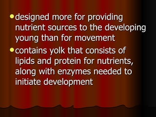 designed more for providing nutrient sources to the developing young than for movement  contains yolk that consists of lipids and protein for nutrients, along with enzymes needed to initiate development  
