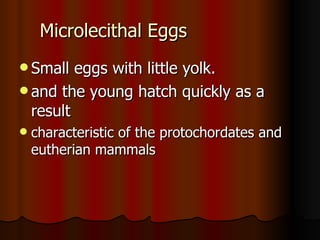 Microlecithal Eggs Small eggs with little yolk. and the young hatch quickly as a result  characteristic of the protochordates and eutherian mammals  