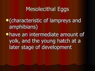 Mesolecithal Eggs (characteristic of lampreys and amphibians)  have an intermediate amount of yolk, and the young hatch at a later stage of development  