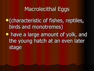 Macrolecithal Eggs (characteristic of fishes, reptiles, birds and monotremes) have a large amount of yolk, and the young hatch at an even later stage  