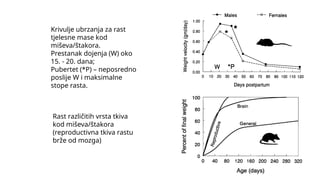Pubertet Rast Evolutionary Development and Life History Theory in Primates and Humans ...
