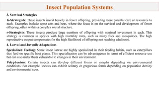 Life History Strategies of insects .pptx