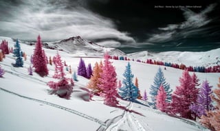 3rd Place - Home by Lys Olson, 590nm Infrared
 