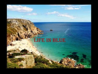 Life in blue
 