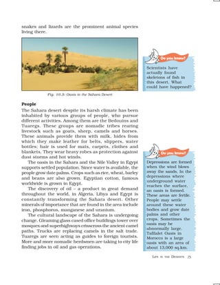snakes and lizards are the prominent animal species
living there.




                                                                       Do you know?

                                                             Scientists have
                                                             actually found
                                                             skeletons of fish in
                                                             this desert. What
                                                             could have happened?
            Fig. 10.3: Oasis in the Sahara Desert

People
The Sahara desert despite its harsh climate has been
inhabited by various groups of people, who pursue
different activities. Among them are the Bedouins and
Tuaregs. These groups are nomadic tribes rearing
livestock such as goats, sheep, camels and horses.
These animals provide them with milk, hides from
which they make leather for belts, slippers, water
bottles; hair is used for mats, carpets, clothes and
blankets. They wear heavy robes as protection against                  Do you know?
dust storms and hot winds.
    The oasis in the Sahara and the Nile Valley in Egypt     Depressions are formed
supports settled population. Since water is available, the   when the wind blows
people grow date palms. Crops such as rice, wheat, barley    away the sands. In the
                                                             depressions where
and beans are also grown. Egyptian cotton, famous
                                                             underground water
worldwide is grown in Egypt.
                                                             reaches the surface,
    The discovery of oil – a product in great demand         an oasis is formed.
throughout the world, in Algeria, Libya and Egypt is         These areas are fertile.
constantly transforming the Sahara desert. Other             People may settle
minerals of importance that are found in the area include    around these water
iron, phosphorus, manganese and uranium.                     bodies and grow date
    The cultural landscape of the Sahara is undergoing       palms and other
change. Gleaming glass cased office buildings tower over     crops. Sometimes the
                                                             oasis may be
mosques and superhighways crisscross the ancient camel
                                                             abnormally large.
paths. Trucks are replacing camels in the salt trade.        Tafilalet Oasis in
Tuaregs are seen acting as guides to foreign tourists.       Morocco is a large
More and more nomadic herdsmen are taking to city life       oasis with an area of
finding jobs in oil and gas operations.                      about 13,000 sq.km.

                                                                LIFE   IN THE   DESERTS   73
 