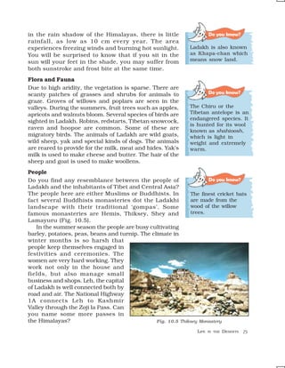in the rain shadow of the Himalayas, there is little                    Do you know?
rainfall, as low as 10 cm every year. The area
experiences freezing winds and burning hot sunlight.          Ladakh is also known
You will be surprised to know that if you sit in the          as Khapa-chan which
sun will your feet in the shade, you may suffer from          means snow land.
both sunstroke and frost bite at the same time.
Flora and Fauna
Due to high aridity, the vegetation is sparse. There are
scanty patches of grasses and shrubs for animals to                     Do you know?
graze. Groves of willows and poplars are seen in the
valleys. During the summers, fruit trees such as apples,      The Chiru or the
apricots and walnuts bloom. Several species of birds are      Tibetan antelope is an
                                                              endangered species. It
sighted in Ladakh. Robins, redstarts, Tibetan snowcock,
                                                              is hunted for its wool
raven and hoopoe are common. Some of these are                known as shahtoosh,
migratory birds. The animals of Ladakh are wild goats,        which is light in
wild sheep, yak and special kinds of dogs. The animals        weight and extremely
are reared to provide for the milk, meat and hides. Yak’s     warm.
milk is used to make cheese and butter. The hair of the
sheep and goat is used to make woollens.
People
Do you find any resemblance between the people of                    Do you know?
Ladakh and the inhabitants of Tibet and Central Asia?
The people here are either Muslims or Buddhists. In           The finest cricket bats
fact several Buddhists monasteries dot the Ladakhi            are made from the
landscape with their traditional ‘gompas’. Some               wood of the willow
famous monasteries are Hemis, Thiksey, Shey and               trees.
Lamayuru (Fig. 10.5).
    In the summer season the people are busy cultivating
barley, potatoes, peas, beans and turnip. The climate in
winter months is so harsh that
people keep themselves engaged in
festivities and ceremonies. The
women are very hard working. They
work not only in the house and
fields, but also manage small
business and shops. Leh, the capital
of Ladakh is well connected both by
road and air. The National Highway
1A connects Leh to Kashmir
Valley through the Zoji la Pass. Can
you name some more passes in
the Himalayas?                                  Fig. 10.5 Thiksey Monastery

                                                                 LIFE   IN THE   DESERTS   75
 