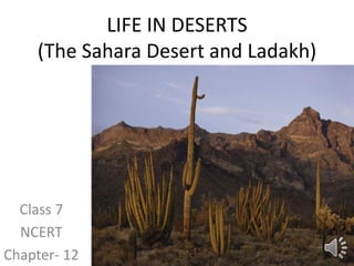 LIFE IN DESERTS
(The Sahara Desert and Ladakh)
Class 7
NCERT
Chapter- 12
 