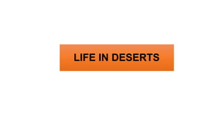 LIFE IN DESERTS
 
