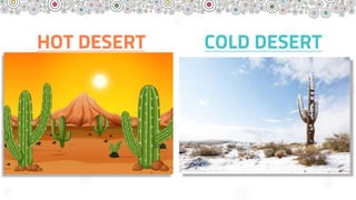 HOT DESERT COLD DESERT
 