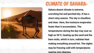 CLIMATE OF SAHARA-
Sahara desert climate is extreme,
scorching hot and parched dry. It has a
short rainy season. The sky is cloudless
and clear. Here, the moisture evaporates
faster than it accumulates. The
temperatures during the day may soar as
high as 50°C, heating up the sand and the
bare rocks, which in turn, radiates heat
making everything around hot. The nights
may be freezing cold with temperatures
nearing zero degrees.
 