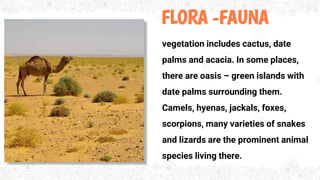 FLORA -FAUNA
vegetation includes cactus, date
palms and acacia. In some places,
there are oasis – green islands with
date palms surrounding them.
Camels, hyenas, jackals, foxes,
scorpions, many varieties of snakes
and lizards are the prominent animal
species living there.
 