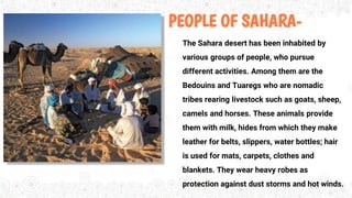 PEOPLE OF SAHARA-
The Sahara desert has been inhabited by
various groups of people, who pursue
different activities. Among them are the
Bedouins and Tuaregs who are nomadic
tribes rearing livestock such as goats, sheep,
camels and horses. These animals provide
them with milk, hides from which they make
leather for belts, slippers, water bottles; hair
is used for mats, carpets, clothes and
blankets. They wear heavy robes as
protection against dust storms and hot winds.
 