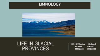 LIFE IN GLACIAL
PROVINCES
BY: K.V Sneha Kishan S
1st BFSc 1st BFSc
FMK2223 FMK2224
LIMNOLOGY
 