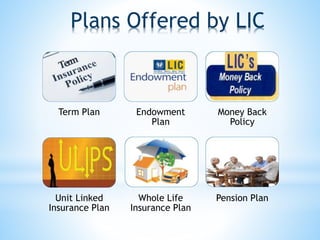 Plans Offered by LIC
Term Plan Endowment
Plan
Money Back
Policy
Unit Linked
Insurance Plan
Whole Life
Insurance Plan
Pension Plan
 