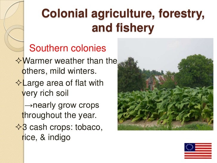 what did the middle colonies eat what did the middle colonies eat