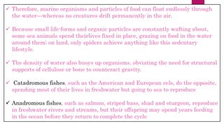 Life in the ocean sahu81862@gmail.com Ashish sahu | PPTX