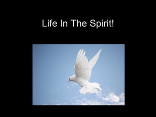 Life In The Spirit! 