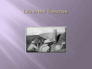 Life in the Trenches 