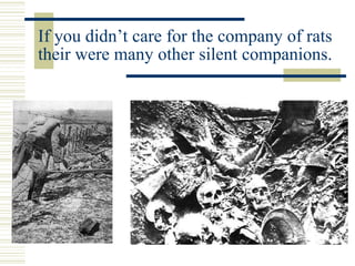 If you didn’t care for the company of rats
their were many other silent companions.
 