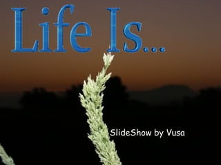 SlideShow by Vusa 