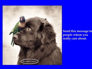 Send this message to
people whom you
really care about.
 