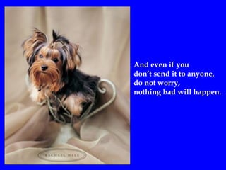 And even if you
don’t send it to anyone,
do not worry,
nothing bad will happen.
 