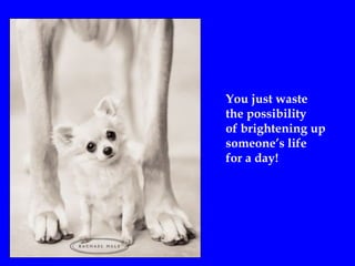You just waste
the possibility
of brightening up
someone’s life
for a day!
 
