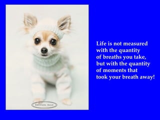 Life is not measured
with the quantity
of breaths you take,
but with the quantity
of moments that
took your breath away!
 