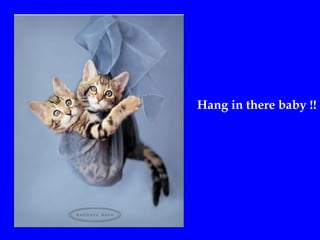 Hang in there baby !!
 