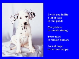 I wish you in life
a lot of luck
to feel good;
Many trials
to remain strong;
Some tears
to remain human;
Lots of hope,
to become happy.
 