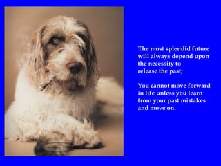 The most splendid future
will always depend upon
the necessity to
release the past;
You cannot move forward
in life unless you learn
from your past mistakes
and move on.
 