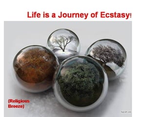 Life is a journey of ecstasy