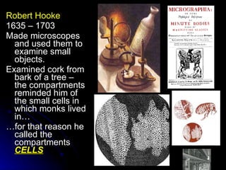 Robert Hooke 1635 – 1703 Made microscopes and used them to examine small objects. Examined cork from bark of a tree – the compartments reminded him of the small cells in which monks lived in… … for that reason he called the compartments  CELLS 