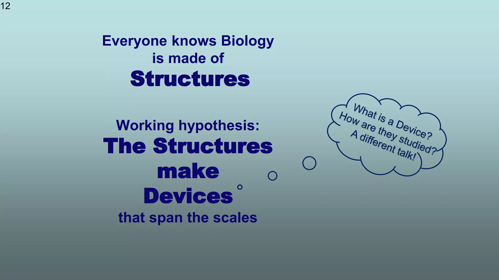 12
Everyone knows Biology
is made of
Structures
Working hypothesis:
The Structures
make
Devices
that span the scales
 