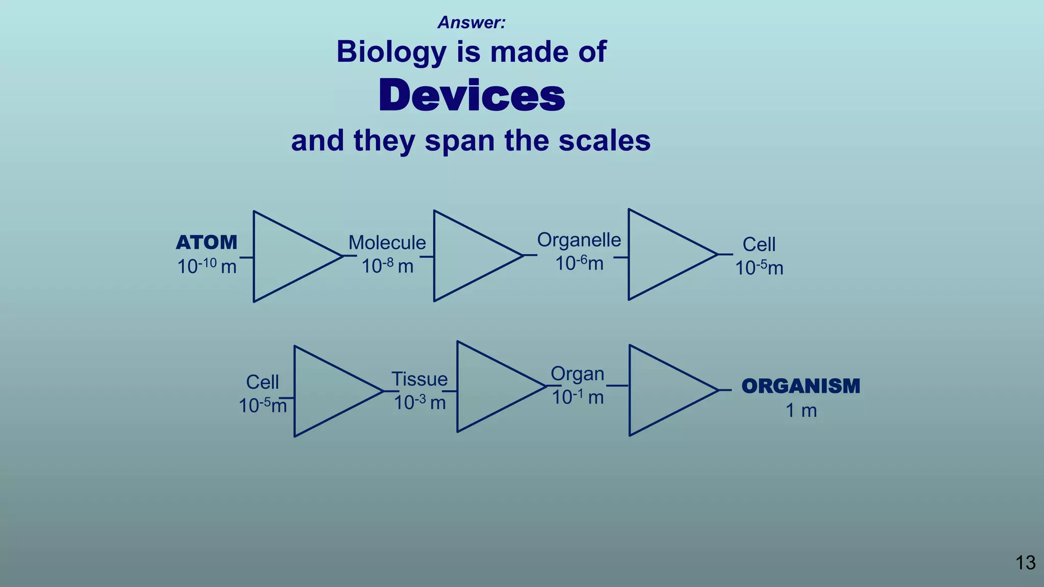 13
ATOM
10-10 m
Molecule
10-8 m
Organelle
10-6m
Cell
10-5m
Cell
10-5m
Tissue
10-3 m
Organ
10-1 m
ORGANISM
1 m
Answer:
Biology is made of
Devices
and they span the scales
 