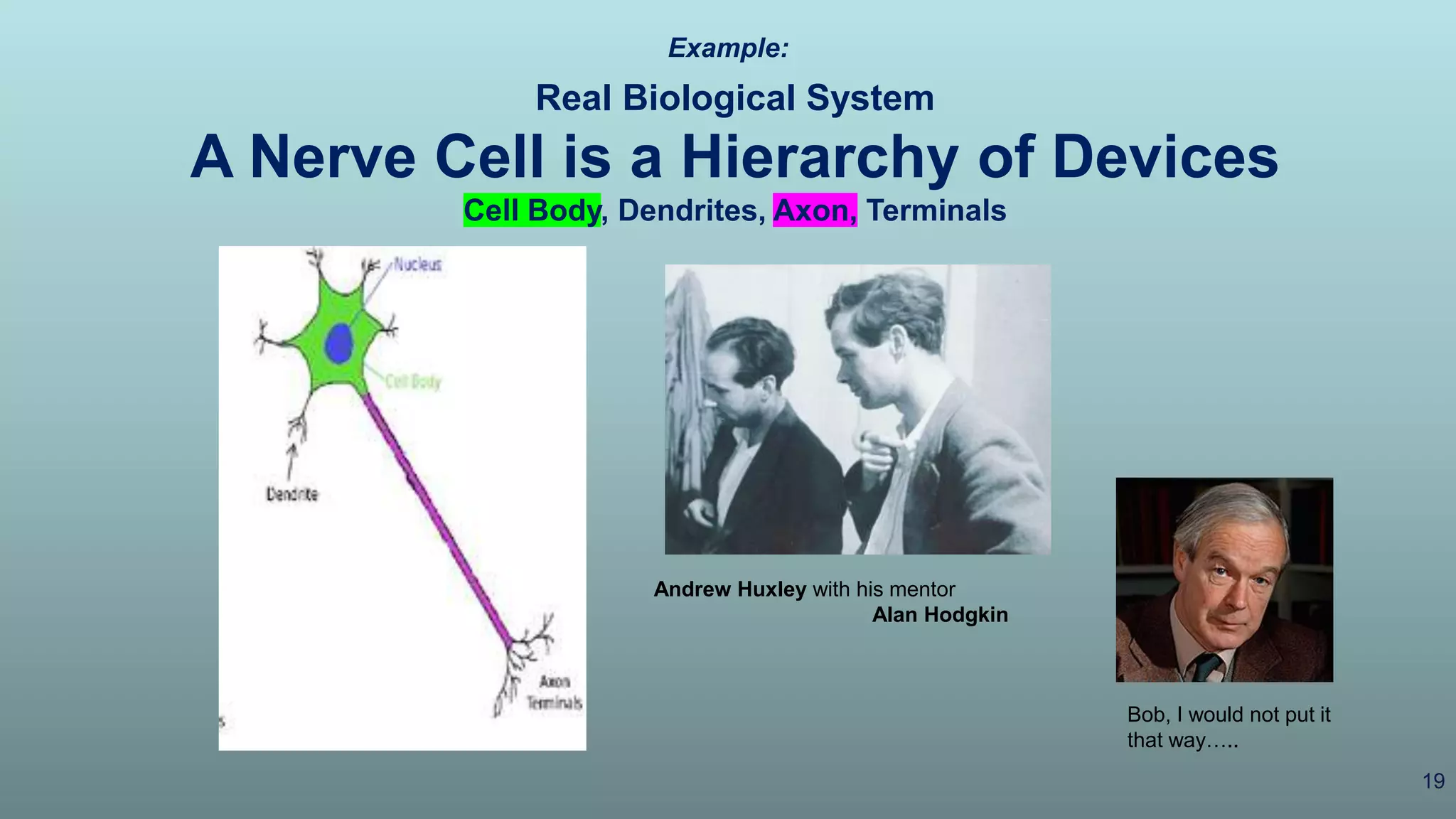 19
Real Biological System
A Nerve Cell is a Hierarchy of Devices
Cell Body, Dendrites, Axon, Terminals
Example:
Bob, I would not put it
that way…..
Andrew Huxley with his mentor
Alan Hodgkin
 
