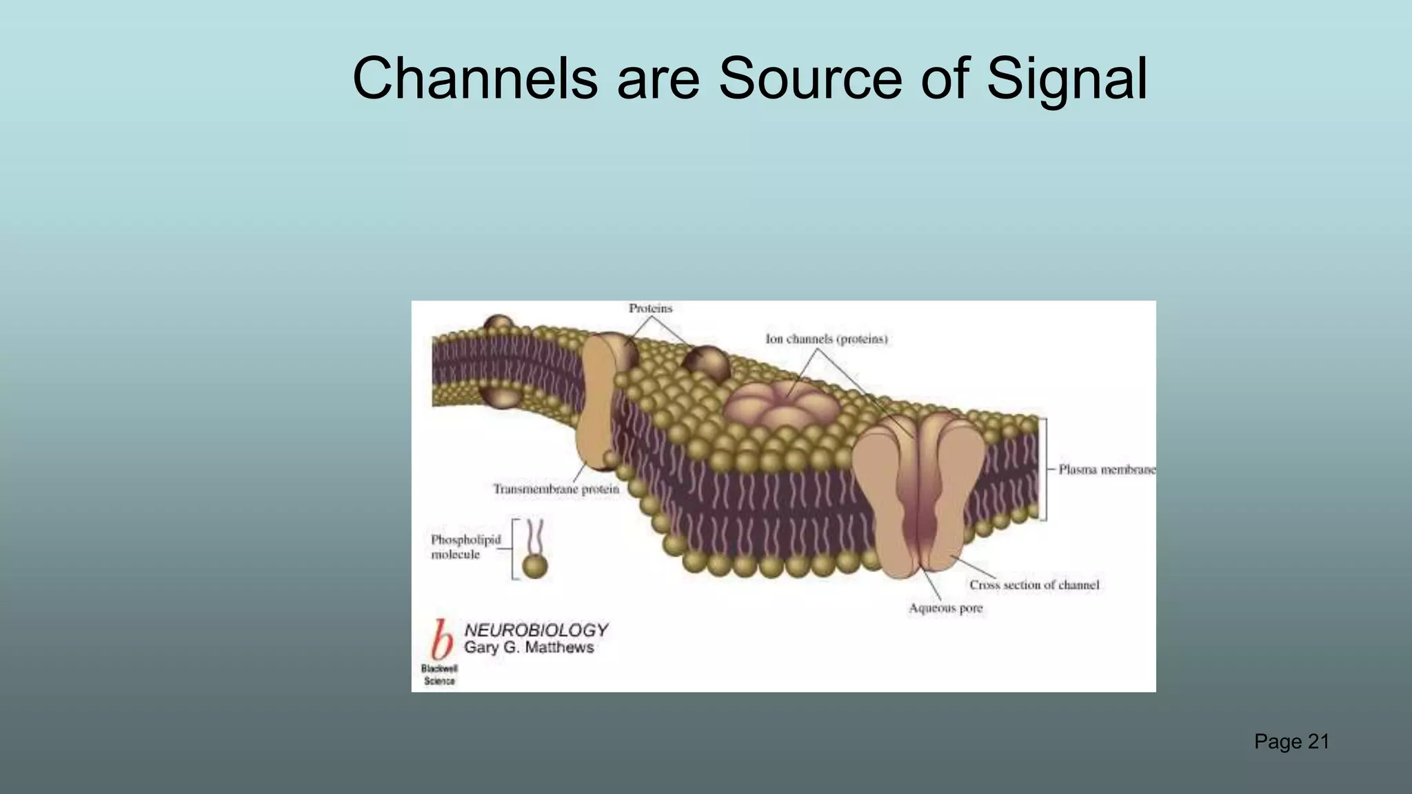 Page 21
Channels are Source of Signal
 
