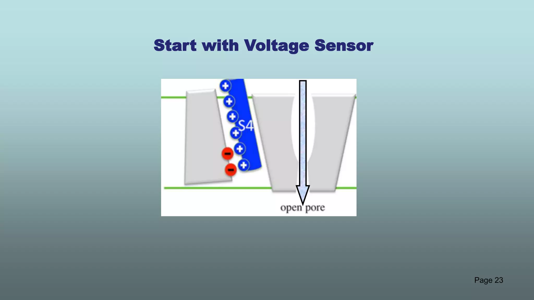 Page 23
Start with Voltage Sensor
 